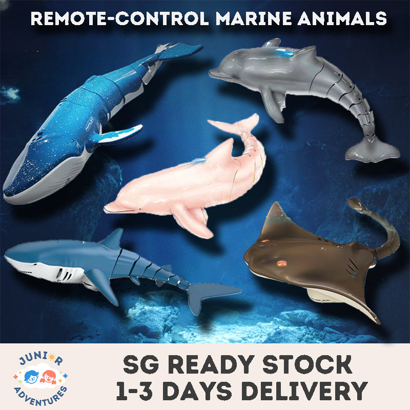 Kid's remote control shark Toy electric toy rc toy water toy cool lights and water spray gift for boys