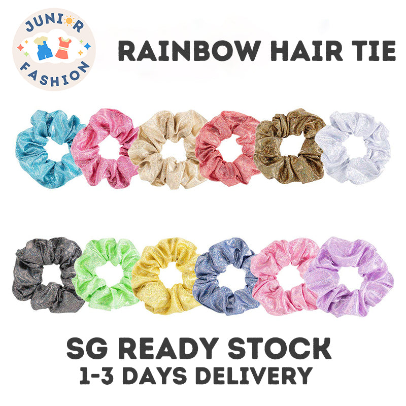 12 Colors Shiny Hair Ties Rainbow Hairbands Elastic Hair Ropes Big Elastic Bands for Women and Girls Hair Accessories
