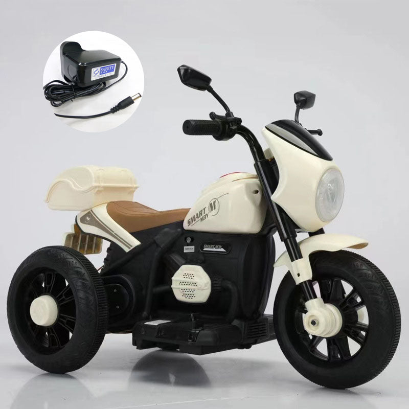 Electric 3 Wheels Motorcycle With Charger