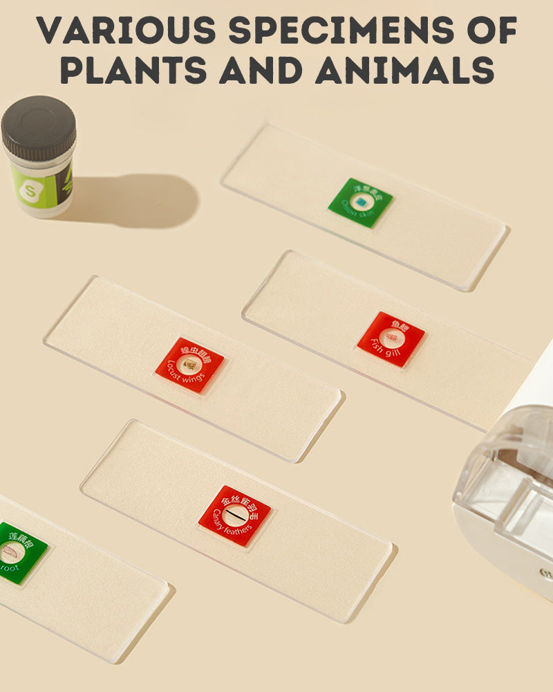 Mini Microscope for Kids – Portable Educational Science Toy with Magnifying Glass for STEM Learning