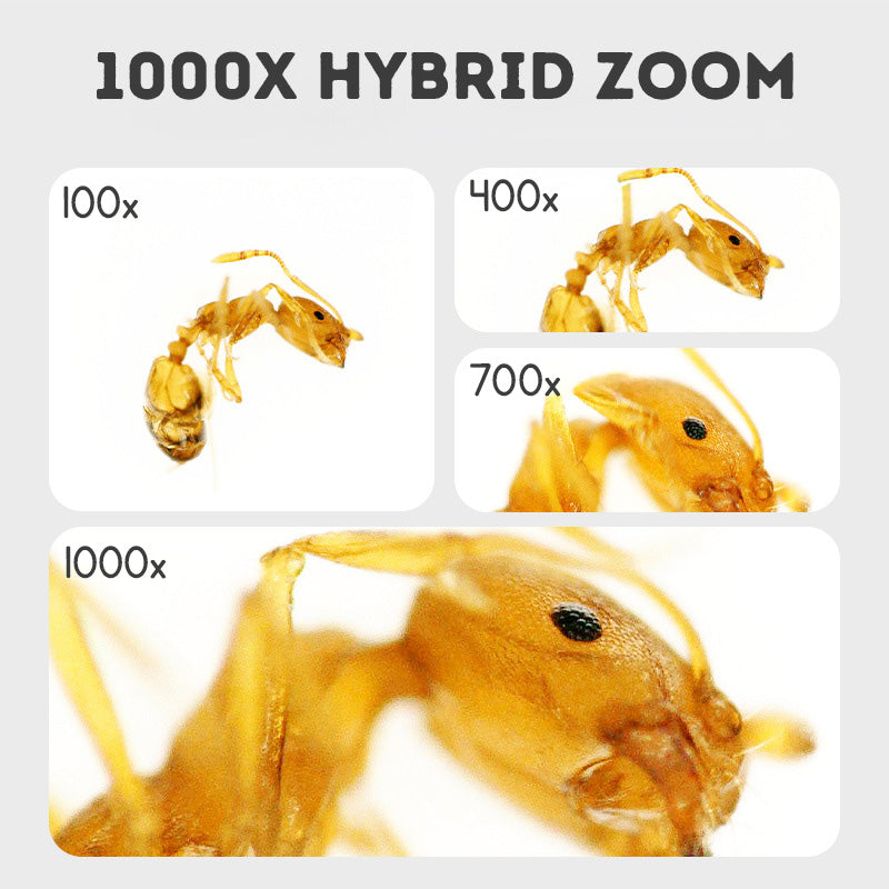 Mini Microscope for Kids – Portable Educational Science Toy with Magnifying Glass for STEM Learning