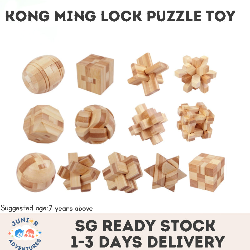 Stress Relief Toys 3D Brain Teaser LuBan Lock Puzzle Toy Building Blocks Learning Toys Unlocking Game Toy  For Kids Adults Gifts