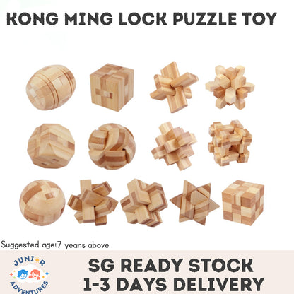 Stress Relief Toys 3D Brain Teaser LuBan Lock Puzzle Toy Building Blocks Learning Toys Unlocking Game Toy  For Kids Adults Gifts